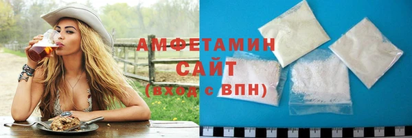 молекула духа Новозыбков