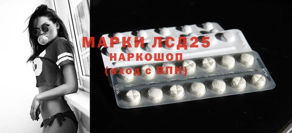 ГАЛЛЮЦИНОГЕННЫЕ ГРИБЫ Семёнов