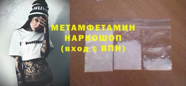 молекула духа Новозыбков