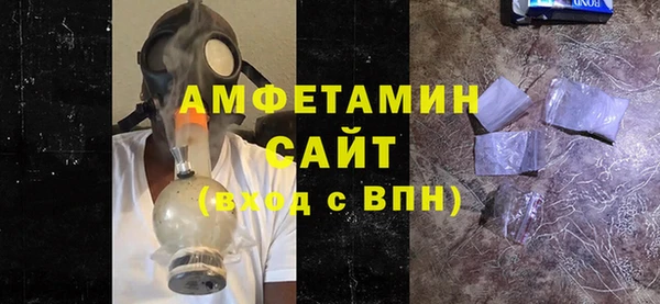 молекула духа Новозыбков
