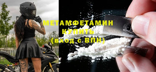 молекула духа Новозыбков