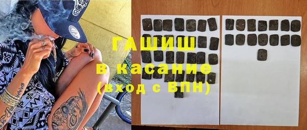 молекула духа Новозыбков