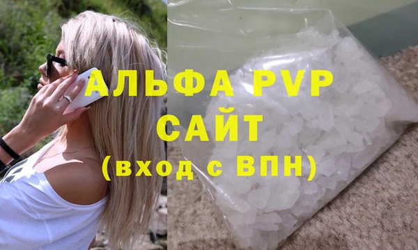 молекула духа Новозыбков