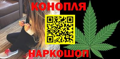 сатива Волгодонск